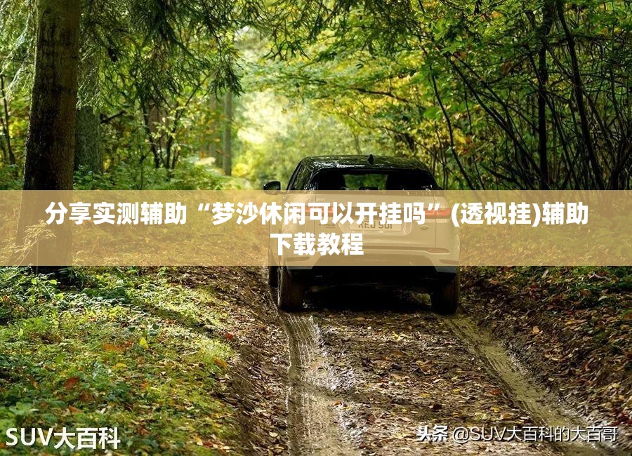 分享实测辅助“梦沙休闲可以开挂吗	”(透视挂)辅助下载教程