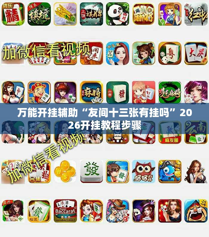 万能开挂辅助“友间十三张有挂吗”2026开挂教程步骤