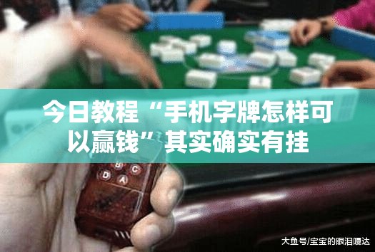 今日教程“手机字牌怎样可以赢钱	”其实确实有挂