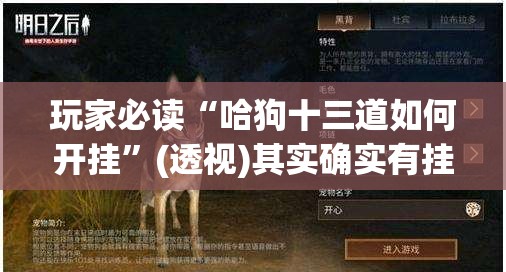 玩家必读“哈狗十三道如何开挂”(透视)其实确实有挂