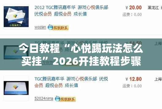 今日教程“心悦踢玩法怎么买挂”2026开挂教程步骤