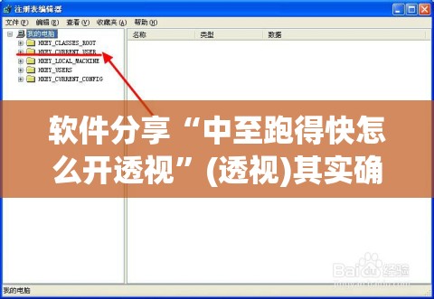 软件分享“中至跑得快怎么开透视”(透视)其实确实有挂