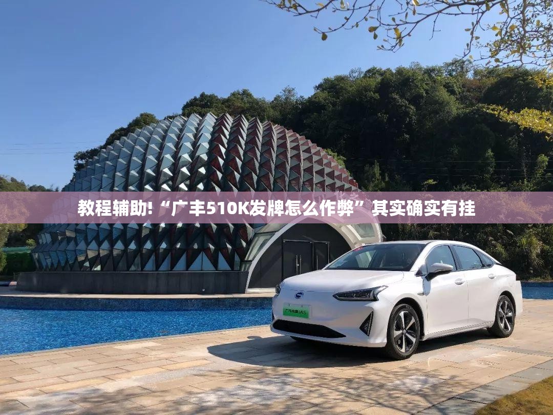 教程辅助!“广丰510K发牌怎么作弊”其实确实有挂