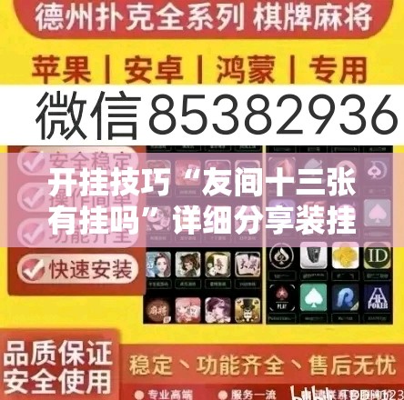 开挂技巧“友间十三张有挂吗	”详细分享装挂步骤