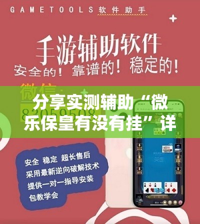 分享实测辅助“微乐保皇有没有挂”详细分享装挂步骤