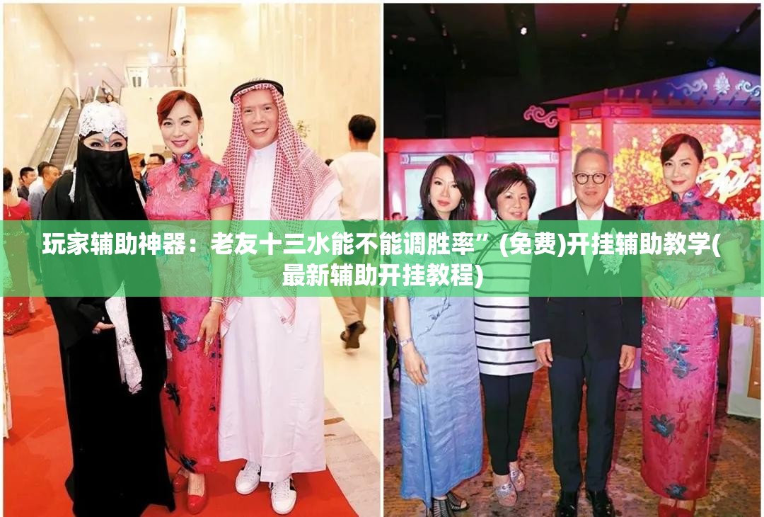 玩家辅助神器：老友十三水能不能调胜率	”(免费)开挂辅助教学(最新辅助开挂教程)