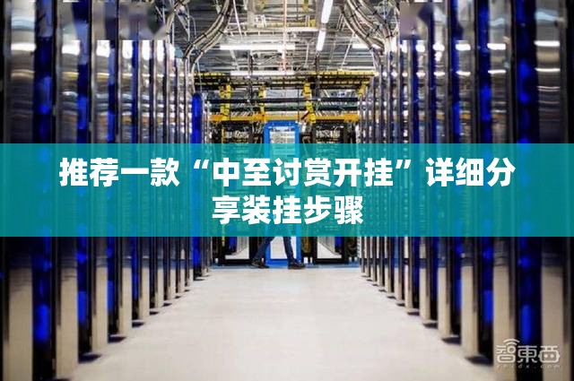推荐一款“中至讨赏开挂”详细分享装挂步骤