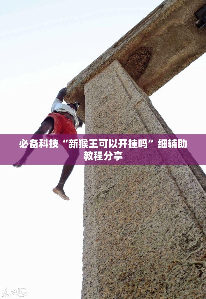 必备科技“新猴王可以开挂吗	”细辅助教程分享
