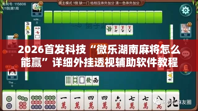 2026首发科技“微乐湖南麻将怎么能赢	”详细外挂透视辅助软件教程