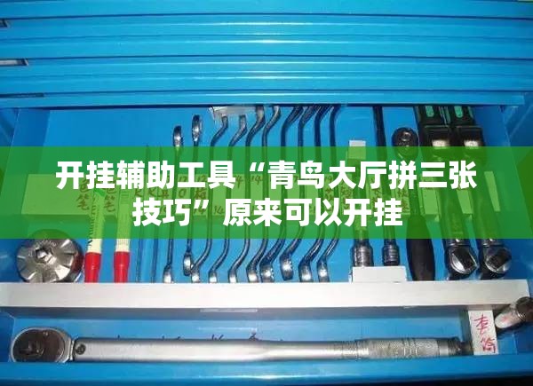 开挂辅助工具“青鸟大厅拼三张技巧”原来可以开挂