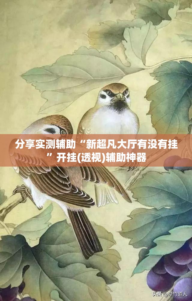 分享实测辅助“新超凡大厅有没有挂”开挂(透视)辅助神器