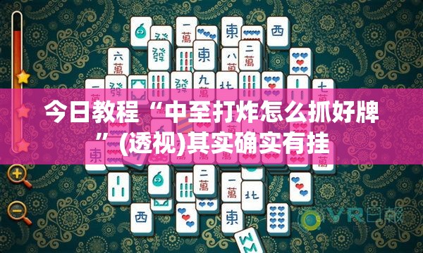 今日教程“中至打炸怎么抓好牌”(透视)其实确实有挂