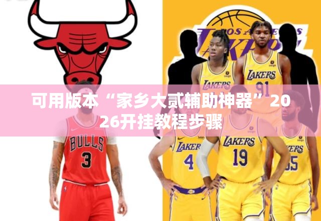 可用版本“家乡大贰辅助神器	”2026开挂教程步骤
