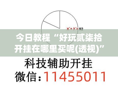 今日教程“好玩贰柒拾开挂在哪里买呢(透视)”开挂辅助脚本+详细开挂安装教程