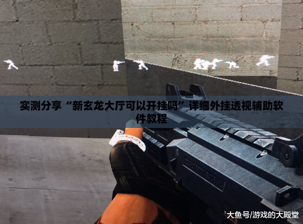 实测分享“新玄龙大厅可以开挂吗”详细外挂透视辅助软件教程