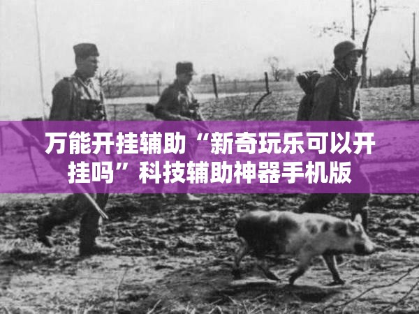 万能开挂辅助“新奇玩乐可以开挂吗”科技辅助神器手机版