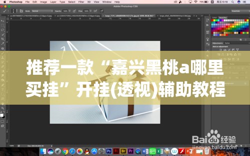 推荐一款“嘉兴黑桃a哪里买挂”开挂(透视)辅助教程