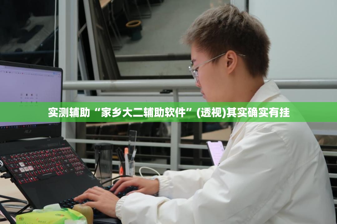 实测辅助“家乡大二辅助软件”(透视)其实确实有挂