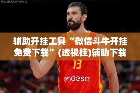 辅助开挂工具“微信斗牛开挂免费下载”(透视挂)辅助下载教程