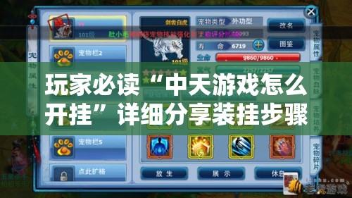 玩家必读“中天游戏怎么开挂”详细分享装挂步骤