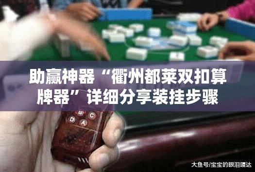 助赢神器“衢州都莱双扣算牌器”详细分享装挂步骤