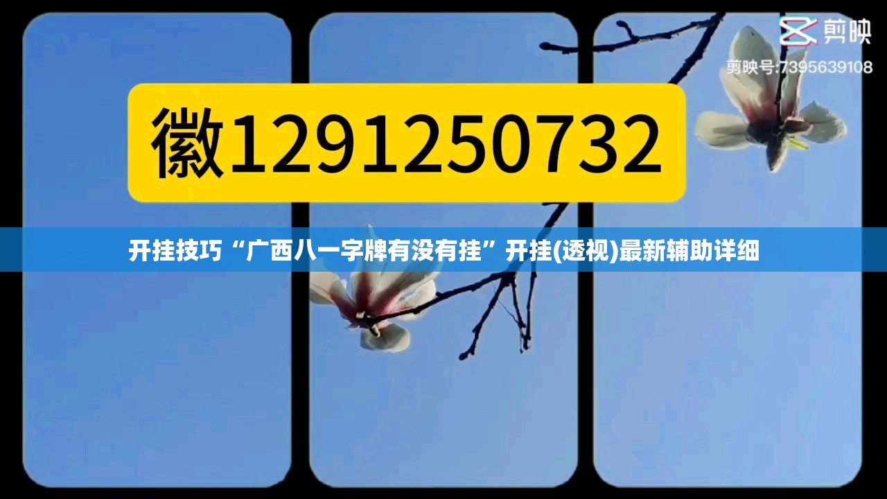 开挂技巧“广西八一字牌有没有挂	”开挂(透视)最新辅助详细