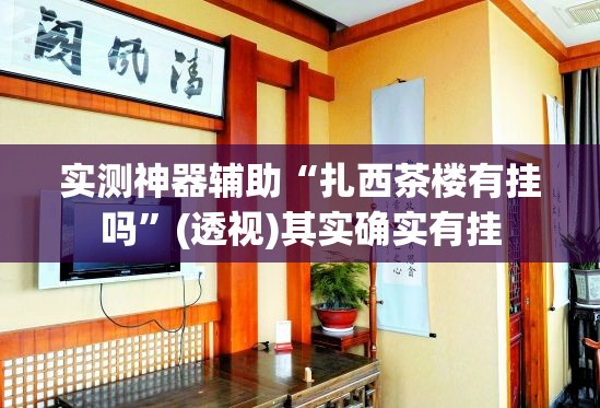 实测神器辅助“扎西茶楼有挂吗	”(透视)其实确实有挂