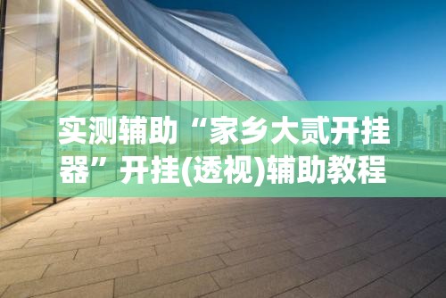 实测辅助“家乡大贰开挂器”开挂(透视)辅助教程