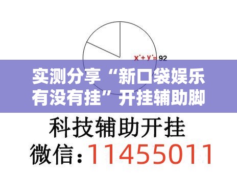 实测分享“新口袋娱乐有没有挂”开挂辅助脚本+详细开挂安装教程