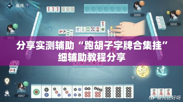 分享实测辅助“跑胡子字牌合集挂”细辅助教程分享