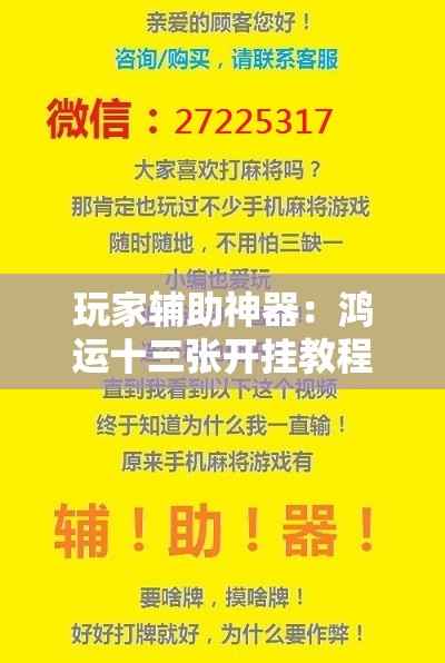 玩家辅助神器：鸿运十三张开挂教程	”详细分享装挂步骤