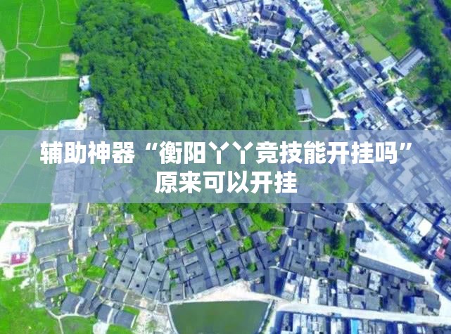 辅助神器“衡阳丫丫竞技能开挂吗	”原来可以开挂