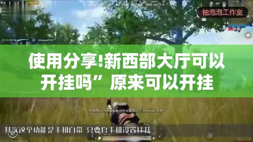 使用分享!新西部大厅可以开挂吗”原来可以开挂