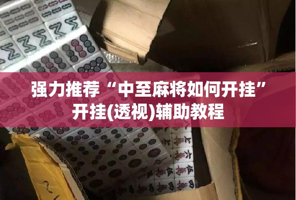 强力推荐“中至麻将如何开挂”开挂(透视)辅助教程