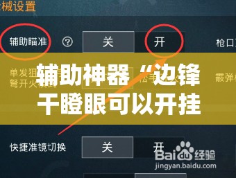 辅助神器“边锋干瞪眼可以开挂吗”详细开挂教程