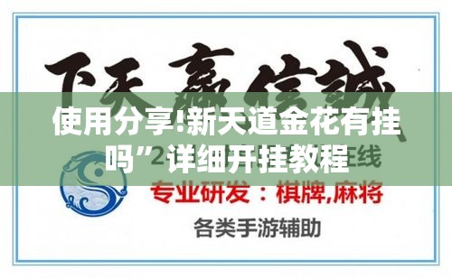 使用分享!新天道金花有挂吗”详细开挂教程