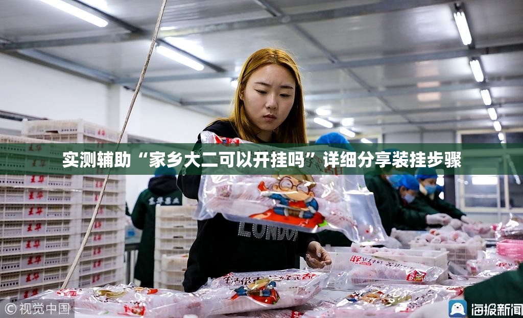 实测辅助“家乡大二可以开挂吗	”详细分享装挂步骤