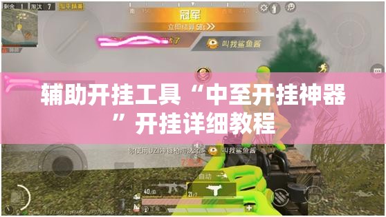 辅助开挂工具“中至开挂神器”开挂详细教程