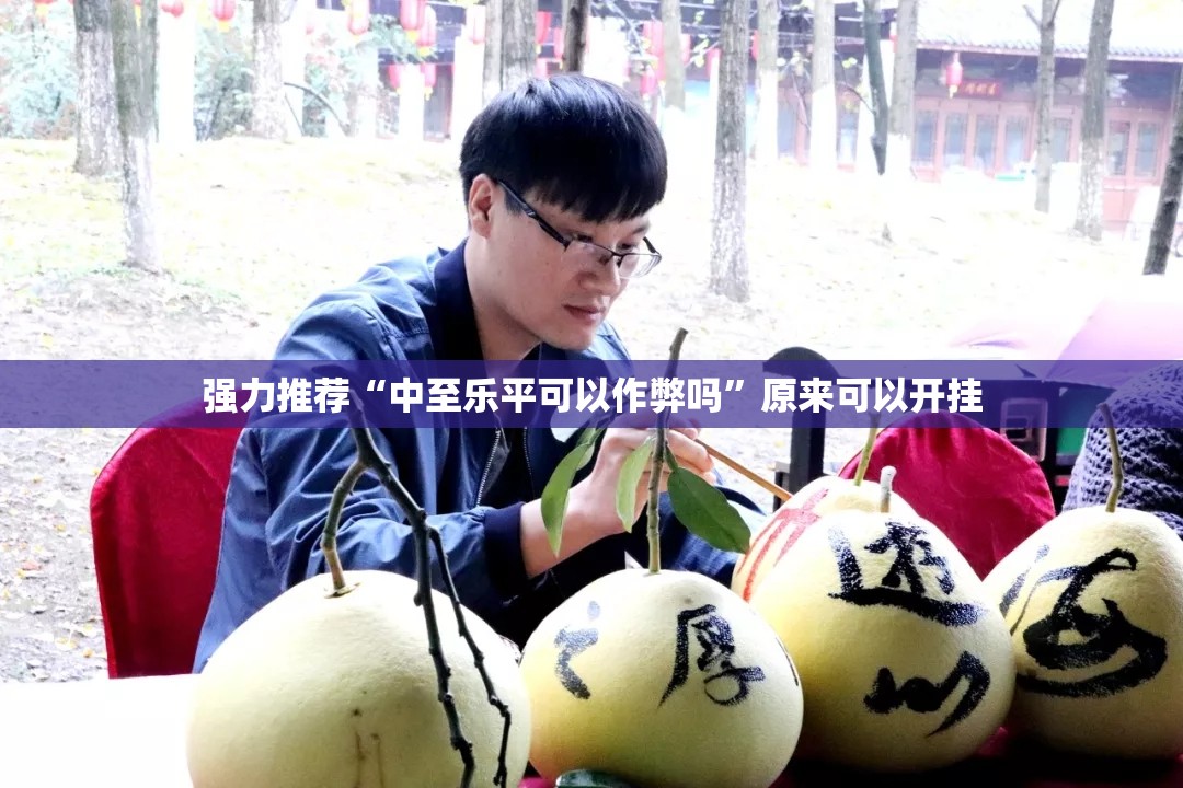 强力推荐“中至乐平可以作弊吗”原来可以开挂