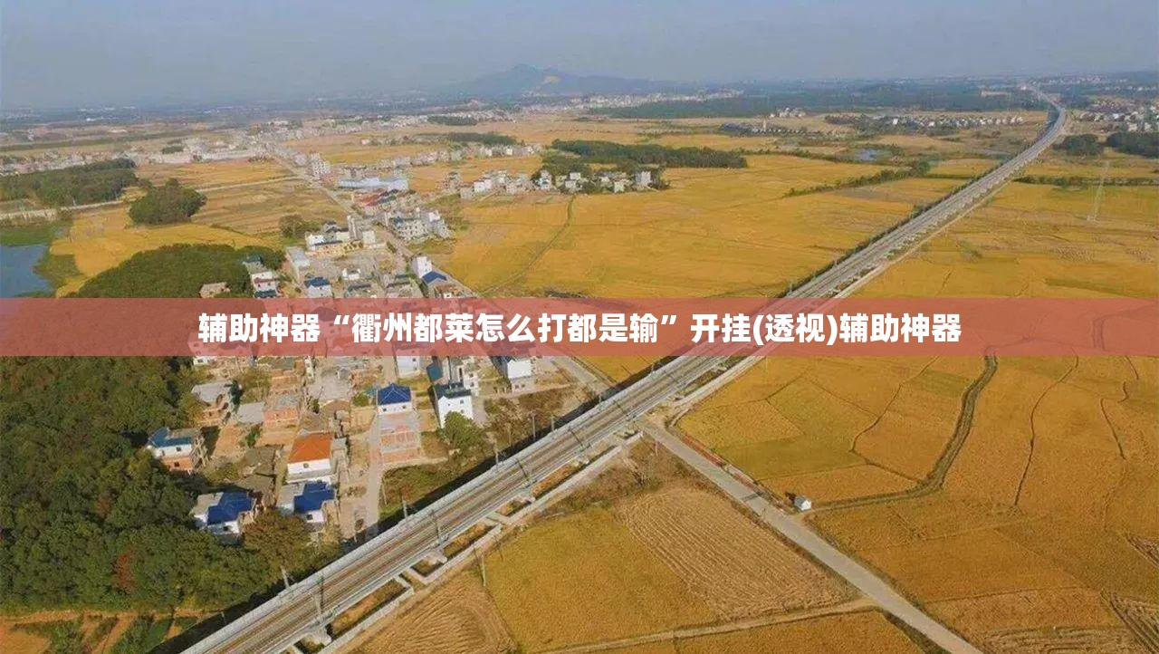 辅助神器“衢州都莱怎么打都是输”开挂(透视)辅助神器