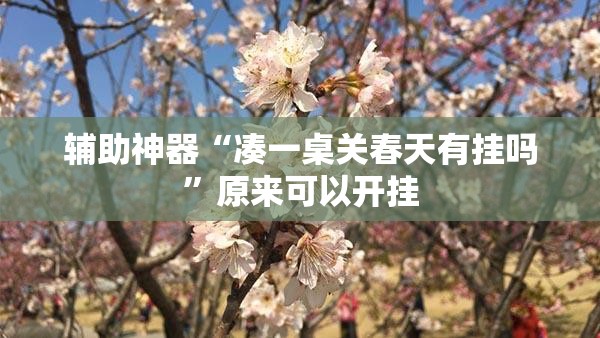 辅助神器“凑一桌关春天有挂吗”原来可以开挂