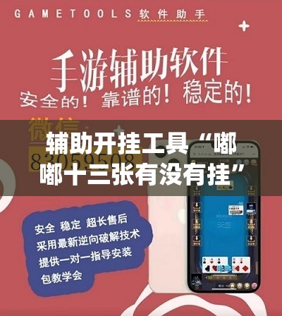 辅助开挂工具“嘟嘟十三张有没有挂”(透视)其实确实有挂
