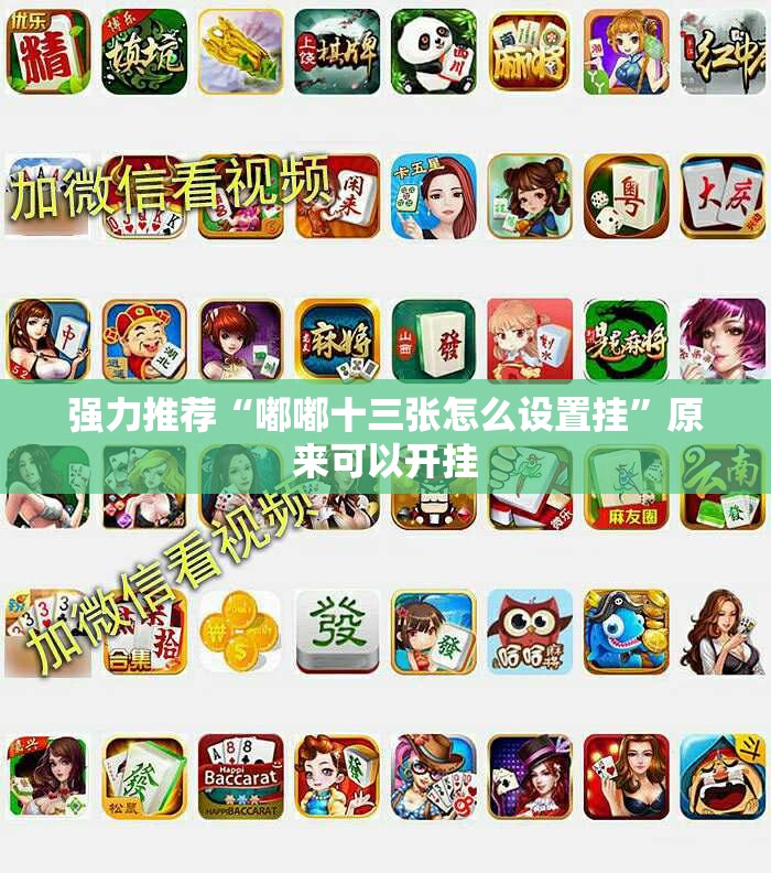 强力推荐“嘟嘟十三张怎么设置挂”原来可以开挂