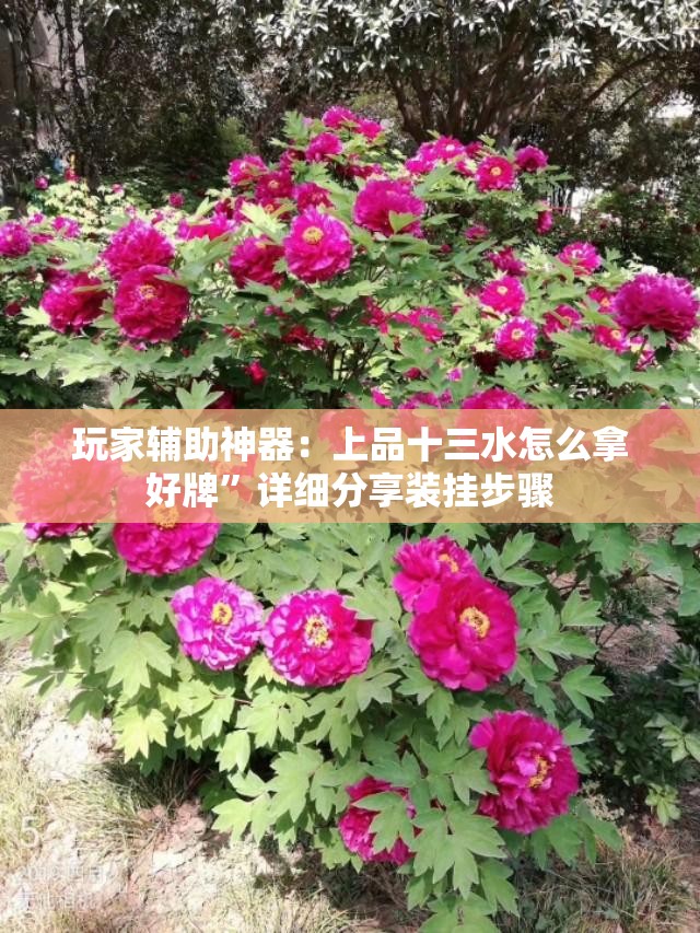 玩家辅助神器：上品十三水怎么拿好牌	”详细分享装挂步骤