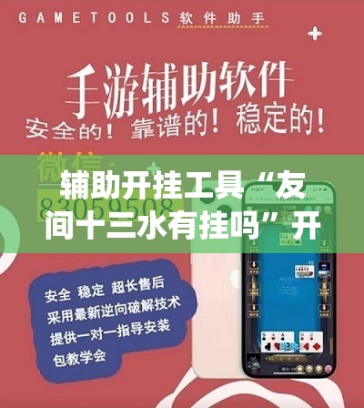 辅助开挂工具“友间十三水有挂吗”开挂(透视)辅助神器