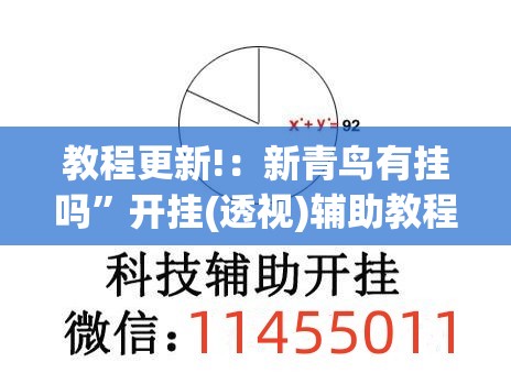 教程更新!：新青鸟有挂吗”开挂(透视)辅助教程