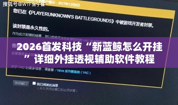 2026首发科技“新蓝鲸怎么开挂	”详细外挂透视辅助软件教程