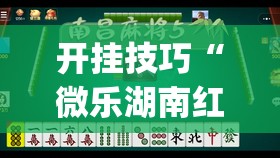 开挂技巧“微乐湖南红中麻将免费开挂	”开挂(透视)最新辅助详细
