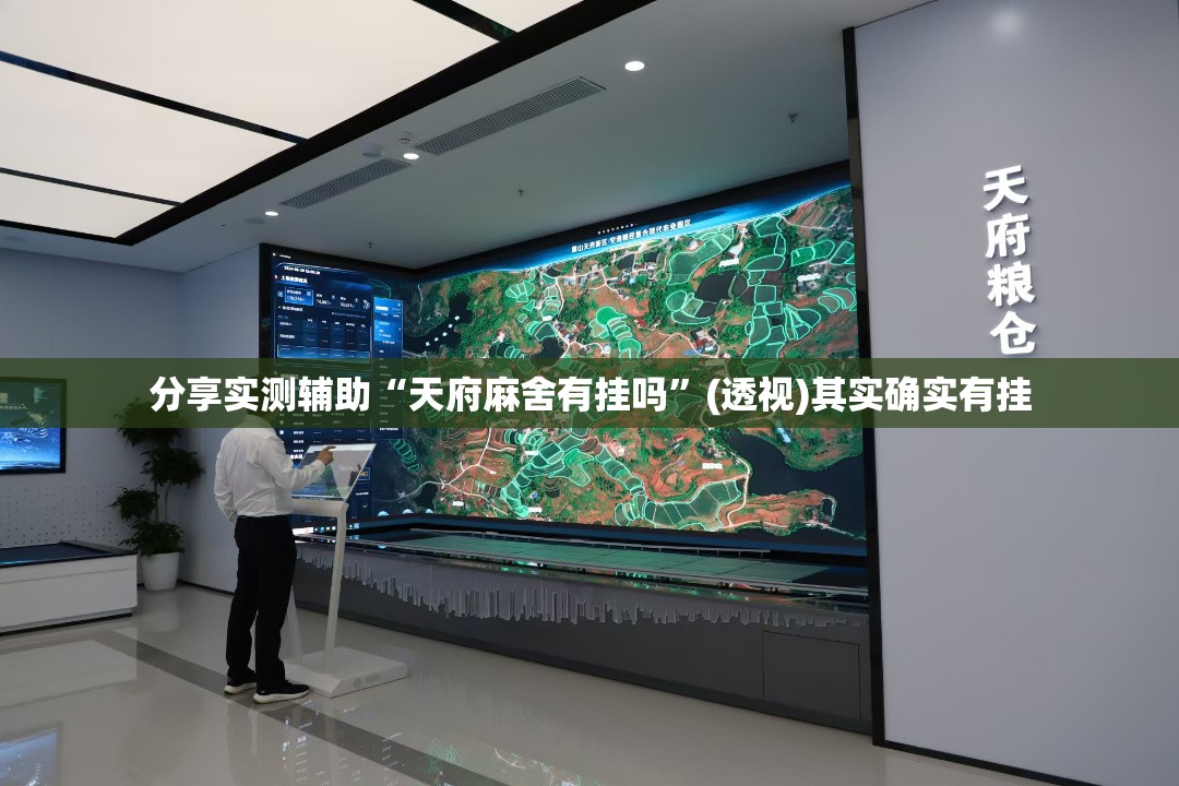 分享实测辅助“天府麻舍有挂吗”(透视)其实确实有挂